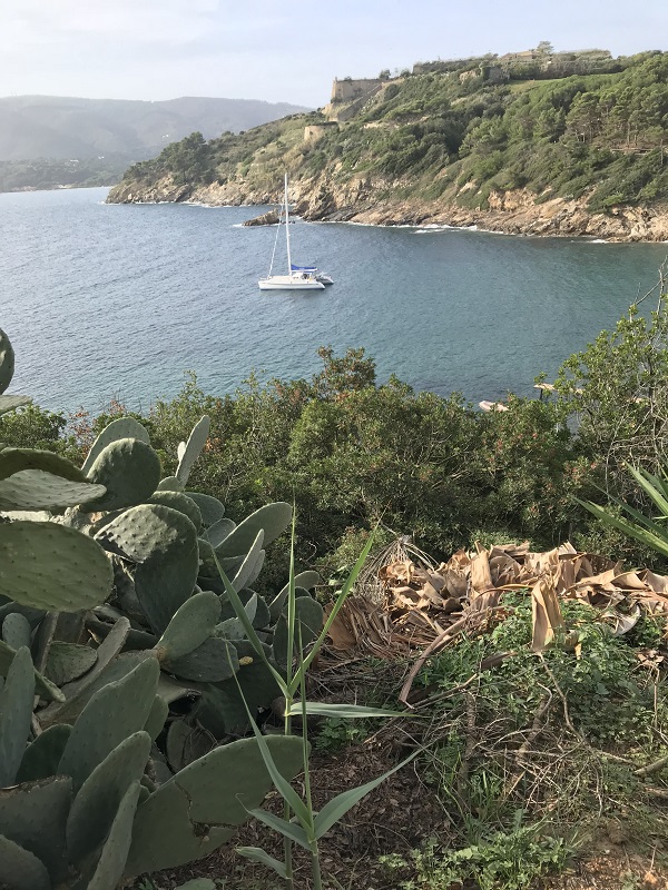 Elba Island Anchorage.small