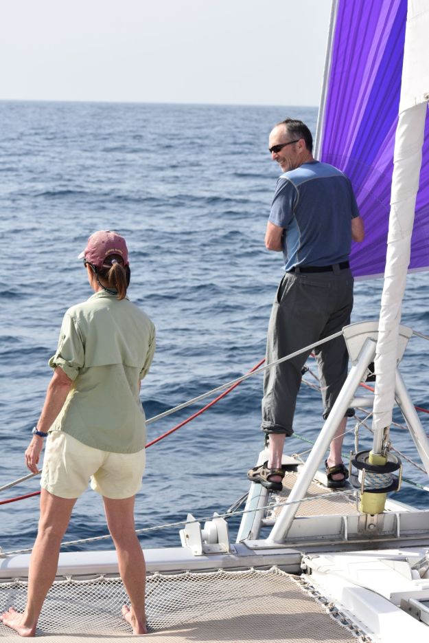 dolphinwatching.small