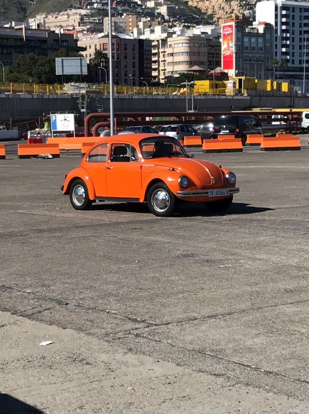 Bug Santa Cruz.small