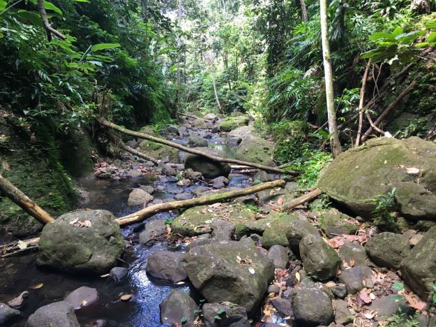DeshaiesBouldering.small